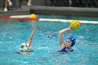 WWPolo vs CC  Wheaton College Women’s Water Polo compete in their sports inaugural match vs Connecticut College. - Photo By: KEITH NORDSTROM : Wheaton, water polo, inaugural